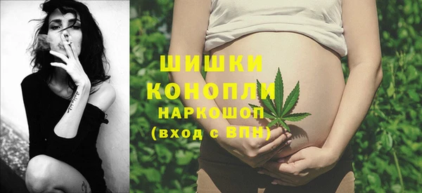молекула духа Алзамай