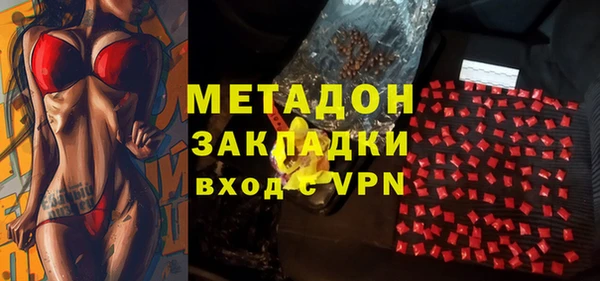 прущие грибы Алексин