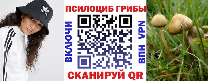 MEGA сайт  Ейск  Галлюциногенные грибы ЛСД 